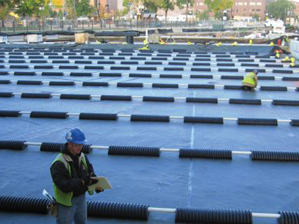 土工膜施工现场