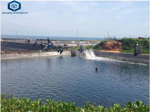 藕池防渗膜应用东平藕池种植