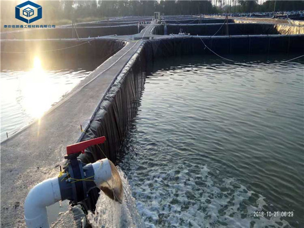 土工膜防渗膜用于江西水产养殖项目