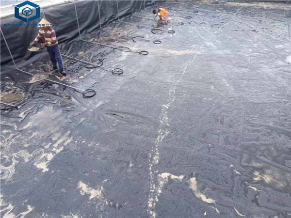 蓄水池防渗膜应用在河南农村工程