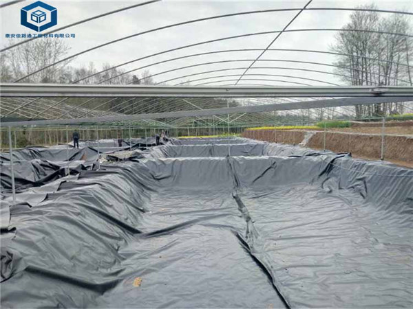 鱼虾养殖膜