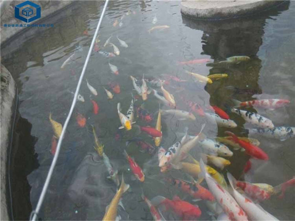 鱼塘养殖防渗膜
