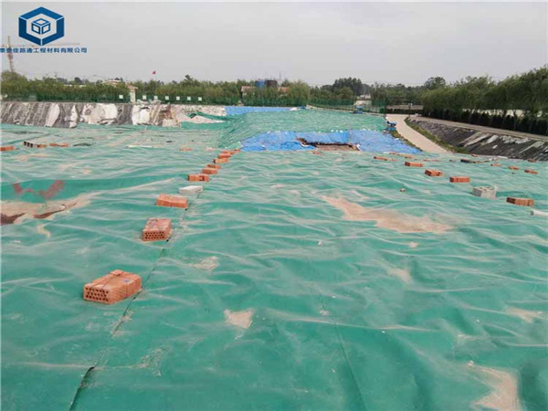 临沂垃圾填埋厂绿色土工膜