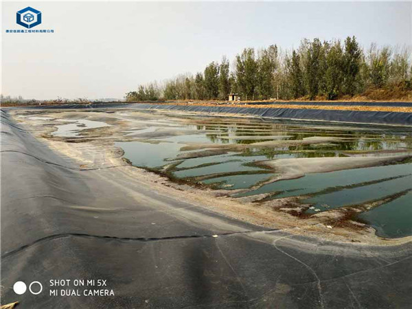 沼液池防渗膜铺设