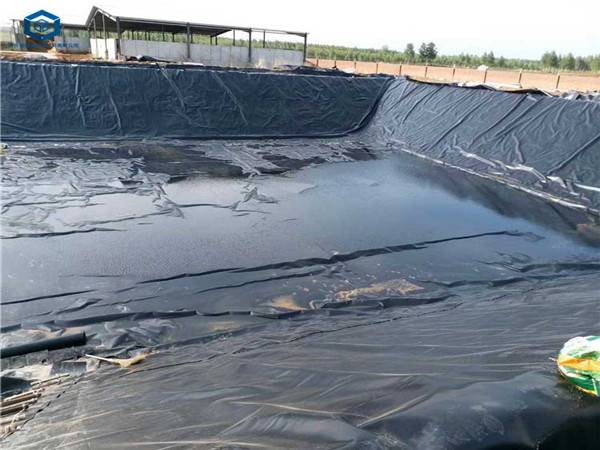 沉淀池铺设完成