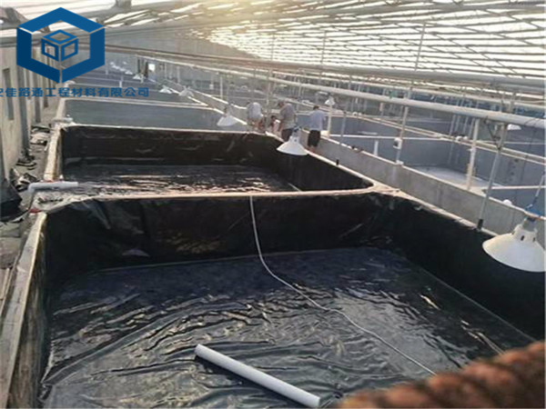 小龙虾池防渗膜