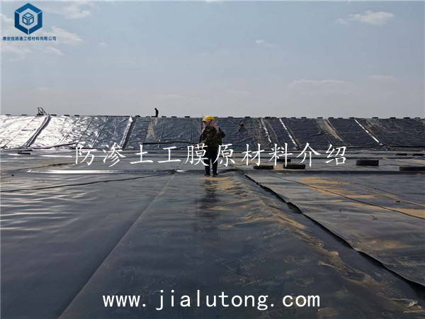 防渗土工膜 防渗土工膜