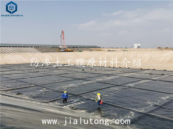 土工膜厂家 土工膜厂家