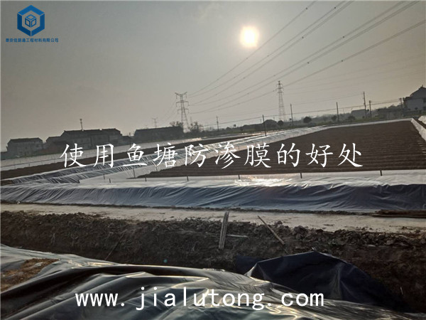 鱼塘防渗膜 鱼塘防渗膜