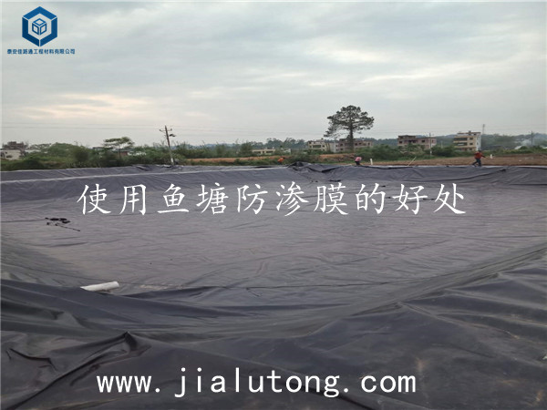 鱼塘防渗膜厂家 鱼塘防渗膜厂家